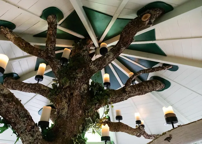 Appartement The Oak Tree House Westport