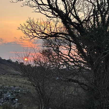 Appartamento The Oak Tree House *