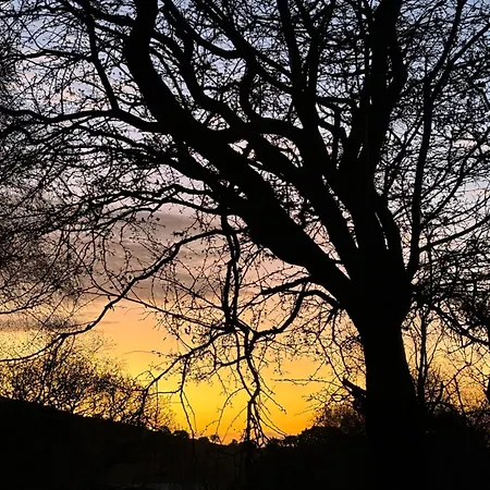 Appartamento The Oak Tree House *