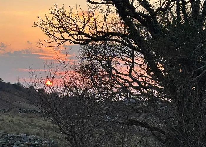 Apartamento The Oak Tree House *