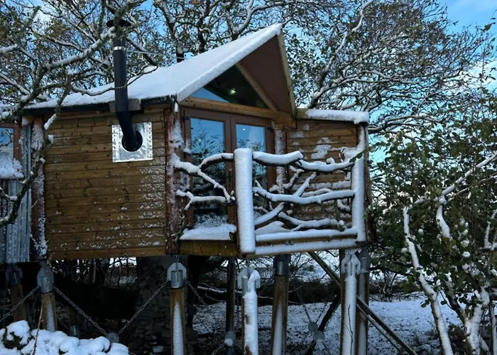 The Oak Tree House Appartement Westport