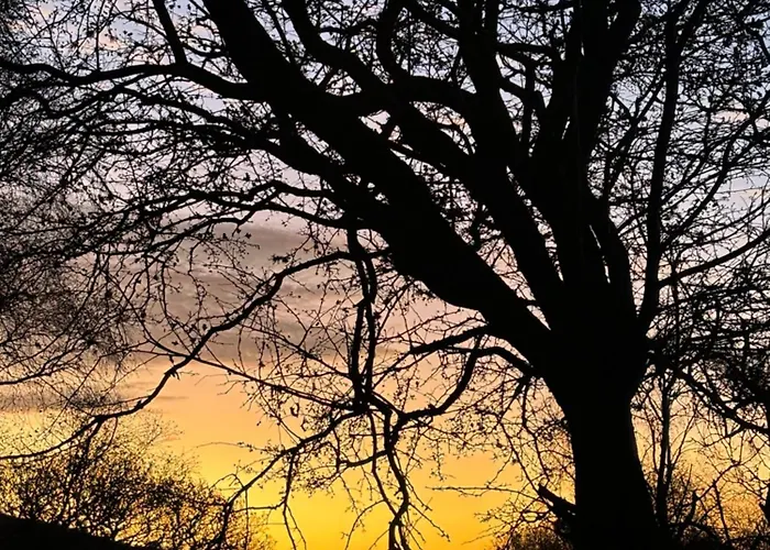 Apartamento The Oak Tree House *