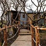 The Oak Tree House * Westport