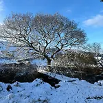 The Oak Tree House *