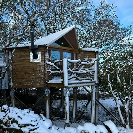 The Oak Tree House Lägenhet Westport