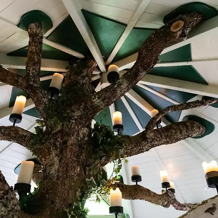 Lägenhet The Oak Tree House Westport